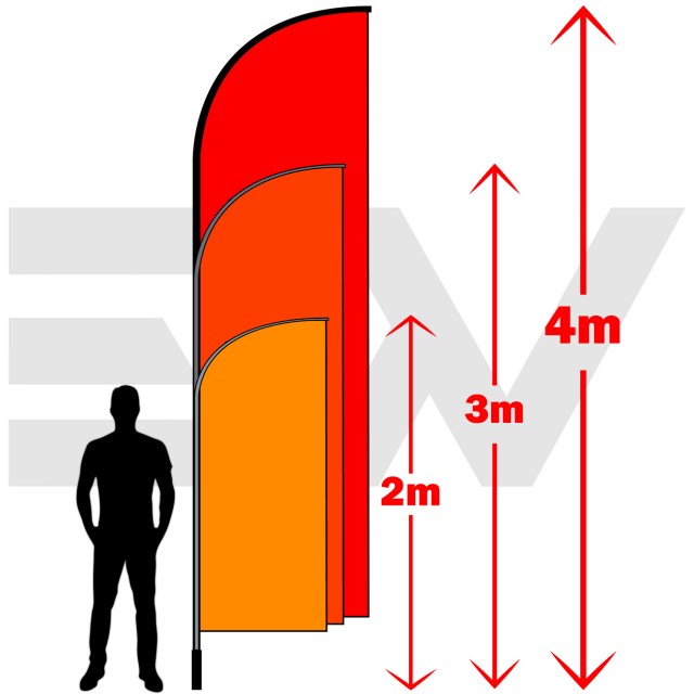 banner 1 scale